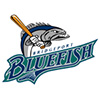 New Britain Bees